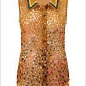 CAbi 3436 Cheers Blouse